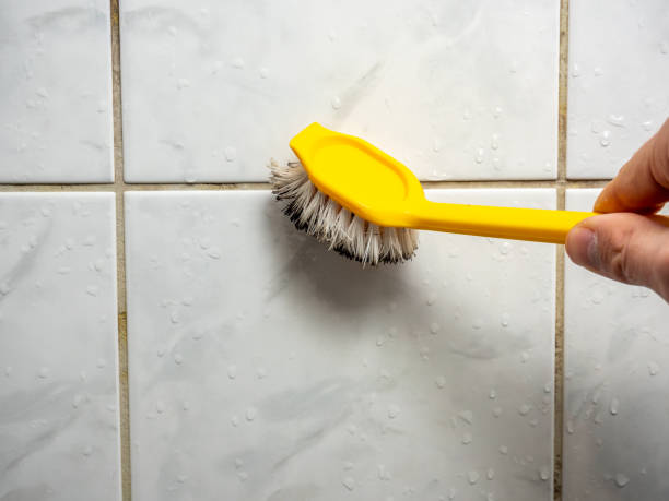 Best Insurance-Related Mold Remediation in Jacinto City, TX