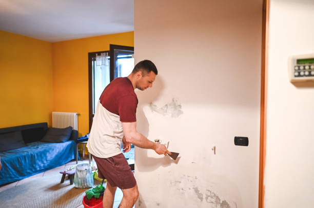 Reliable Jacinto City, TX Mold Remediation Solutions
